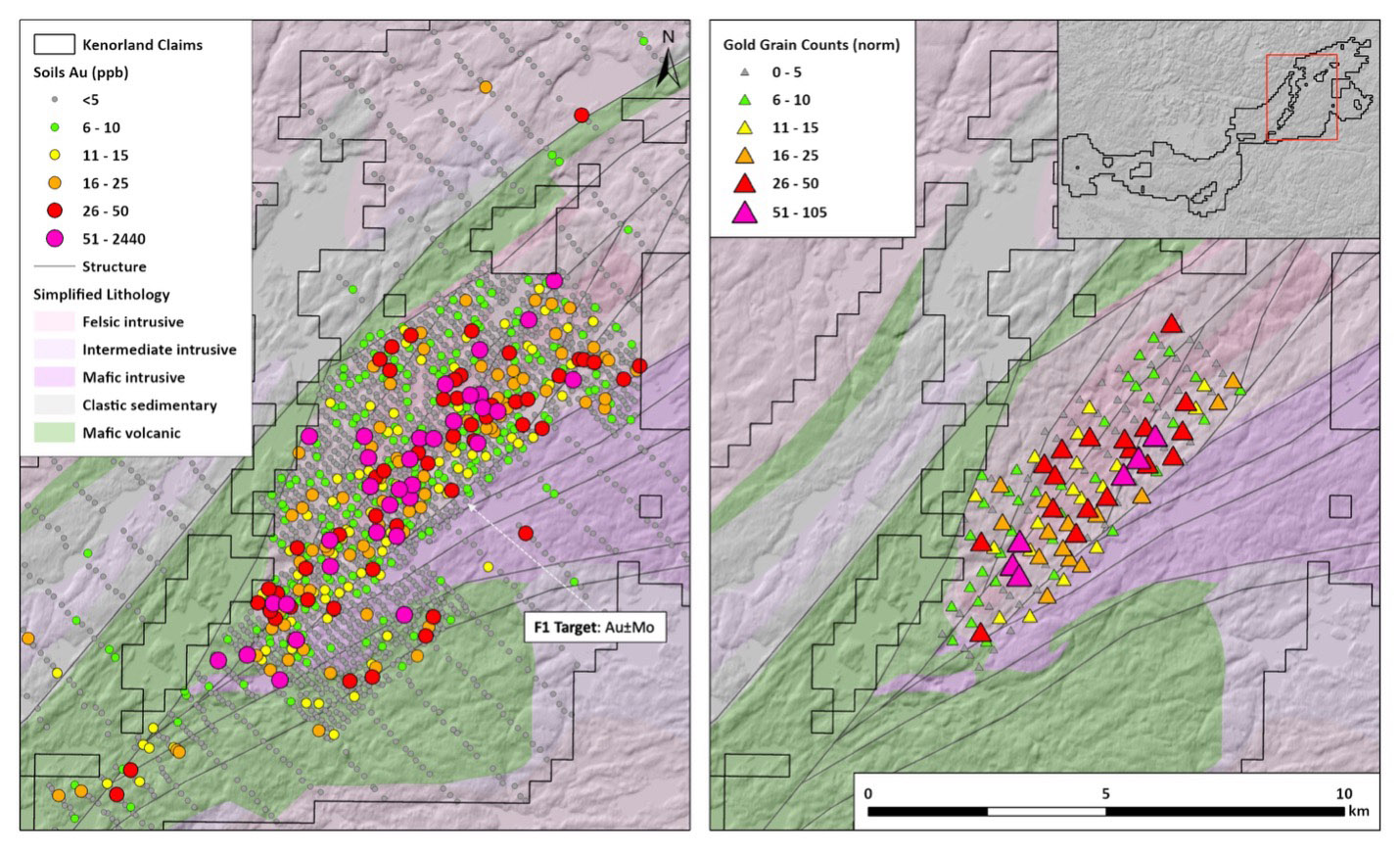 Map of the F1 target area within the Flora Project: Left hand side – Au in fine fraction soil geochemistry; right hand side – normalised gold grain counts from HMC till sampling