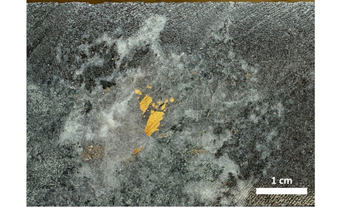 Figure 2. 166.14 g/t Au quartz-amphibole-arsenopyrite-gold vein from 25OPDD007, 459.85-460.15m