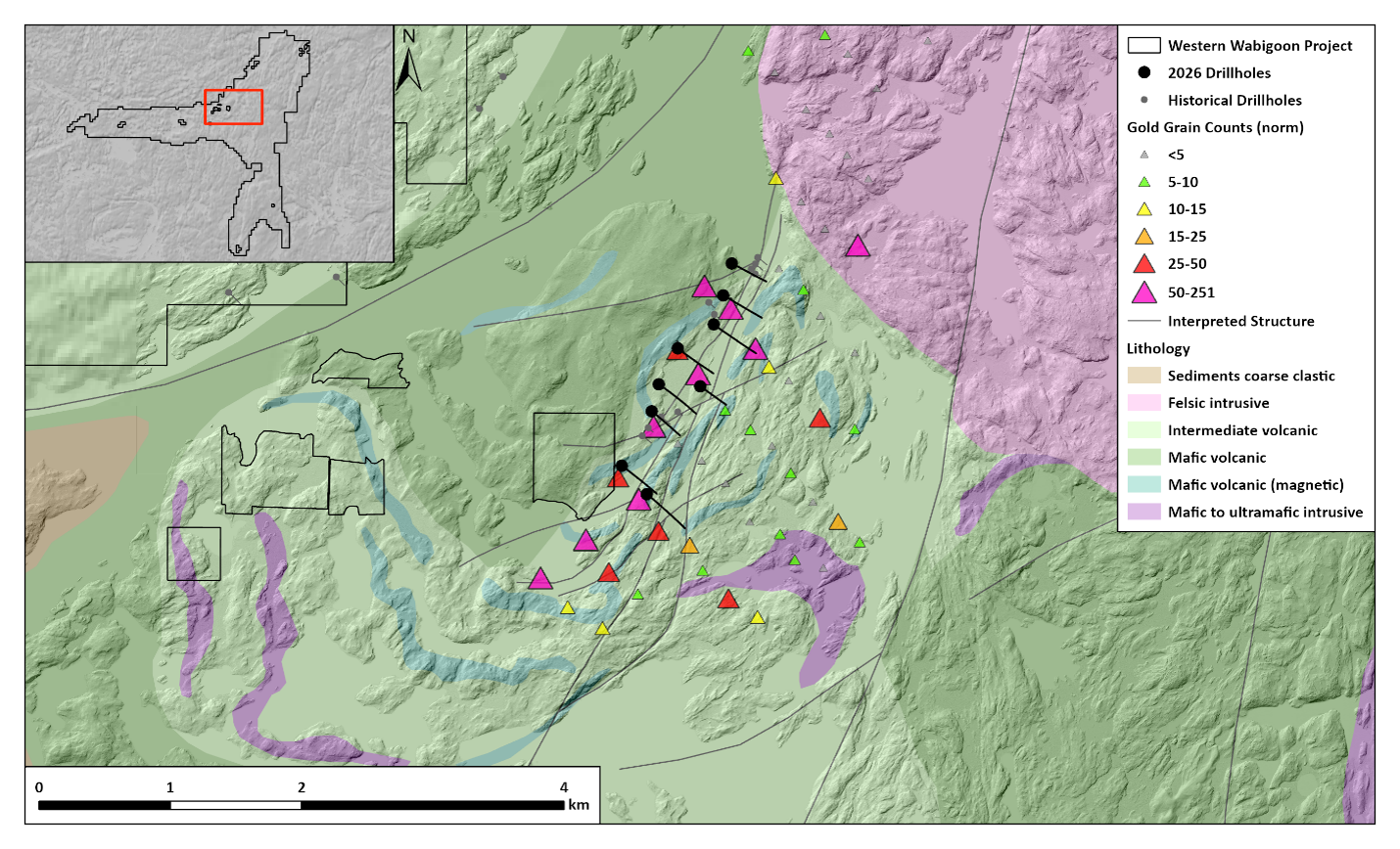 Figure 1. Plan map of the W2 target area with drill hole locations and gold grain counts from HMC till sampling