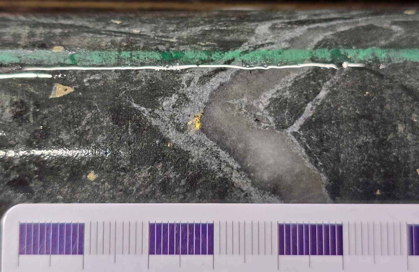 Figure 2. Visible gold observed at 126.7m in 26DFDD005 hosted on the margin of a smoky quartz vein associated with chlorite-calcite alteration and pyrite mineralisation (centimetre scale card for reference)